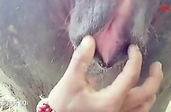 Sex With Aanimals Porn Videos